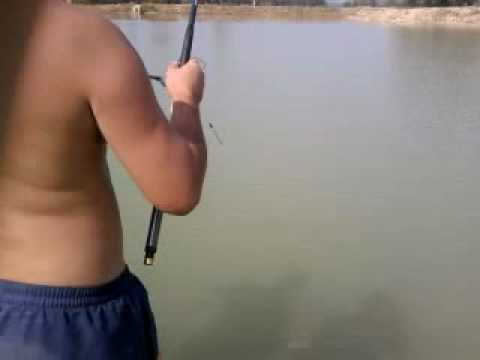 pescuit buntesti 2010