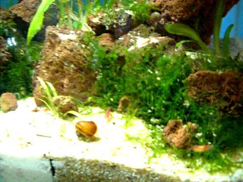 Watch Video on YouTube