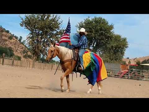 youtube preview