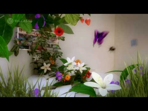 Kanal 5 "Alpro soya" Commercial spot line-up - Dallas Sthlm