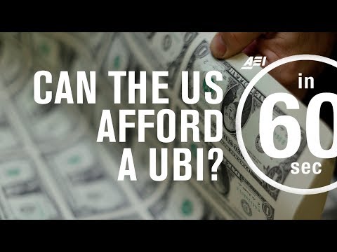 アメリカは国民皆保険のベーシックインカムを手に入れることができるのか？| 60秒でわかる (Could the United States afford a universal basic income? | IN 60 SECONDS)