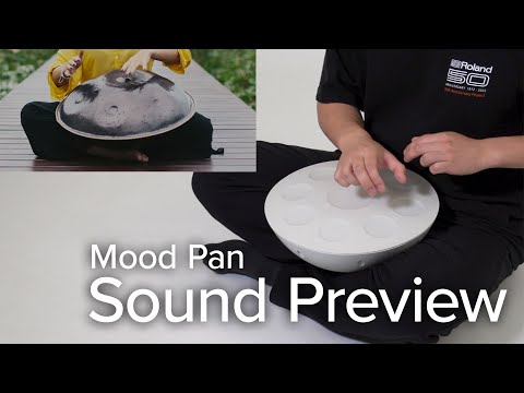 Roland Mood Pan (MN-10) - Gearspace