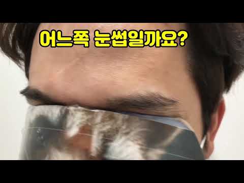 알아맞춰보셈요~   눈썹이식 어느쪽이게요?