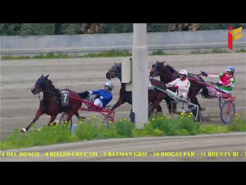 VI Corsa del 16 Marzo 2022 - 5 e 6 Anni - Metri 1600