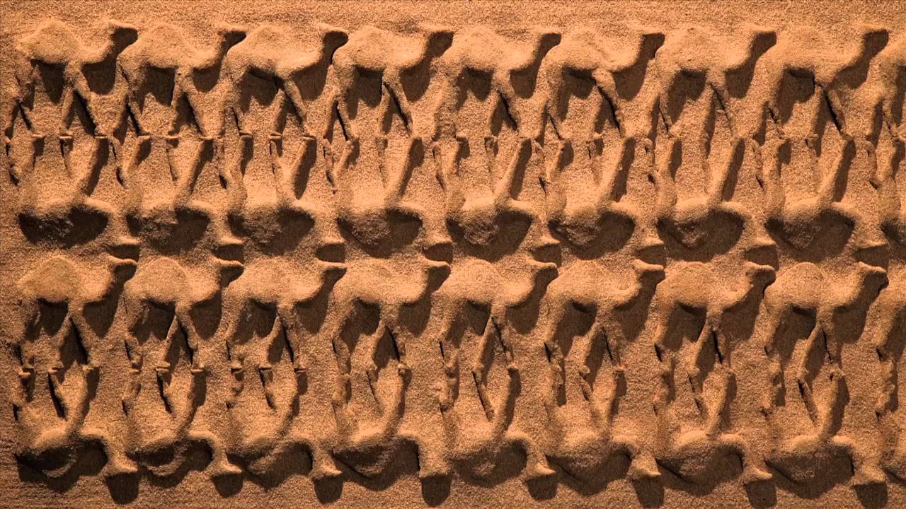 Sand animation India    Rajasthan Tourism Logo Reveal