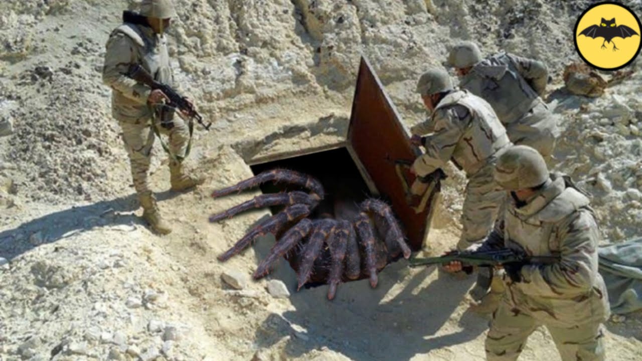 10 Seres Desconocidos Vistos en La Guerra De Vietnam.