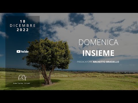 Domenica INSIEME | Archetto Brasiello