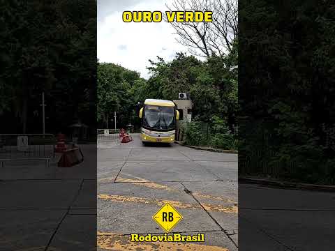 VIAÇÃO OURO VERDE NO TERMINAL DO TIETÊ #shorts #rodoviabrasil #onibus #viagem #saopaulo #sp