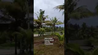 Download lagu #music #song #pangandaran #batuhiu #bojong salawé mp3