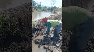 Download lagu tidying up the dam mp3