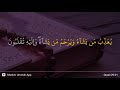 Al Ankabut Ayat 21