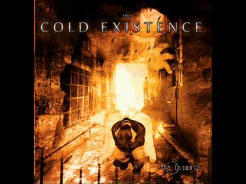 The Cold Existence - Fallen to Ashes