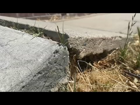 $7 million in funding secured for street improvements in Calwa