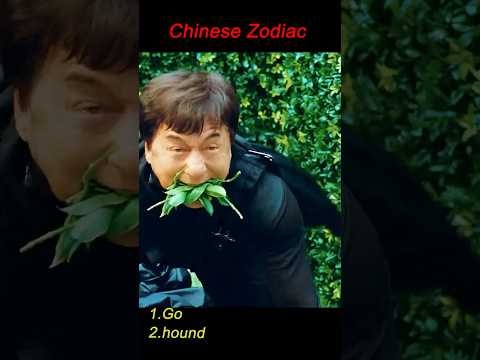 Chinese Zodiac｜Jackie Chan Chased by Dogs—Thrilling & Hilarious Chase🐕⚡🔥