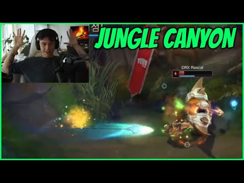 Just A Canyon Nidalee Montage Typa Game