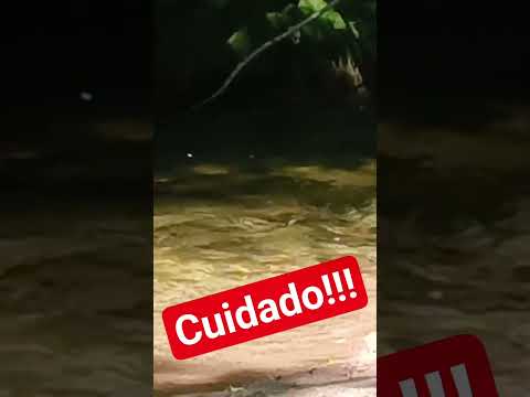 #cordoba#rio#alpacorral#viral