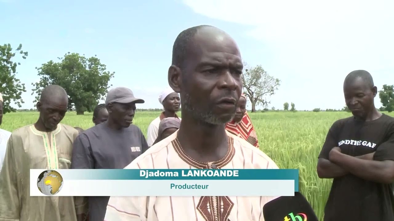FOCUS SUR L'OFFENSIVE AGRICOLE A BOGANDE