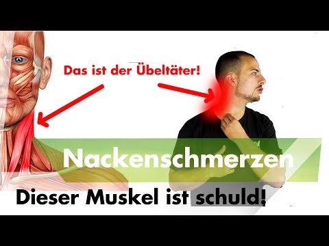 Übungen, um die Muskeln des Halses mit Osteochondrose stehend zu stärken Heilung für immer Bandscheibenbruch