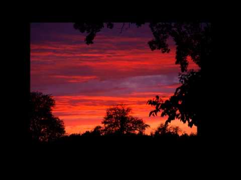 Bandulu und Mostheadz---- BEAT: TEAPOT