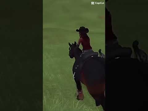 ~IM MADE IT TO 51 SUBBSSS EEEEEEEE~ #sso #starstable #starstableonline #subscribe