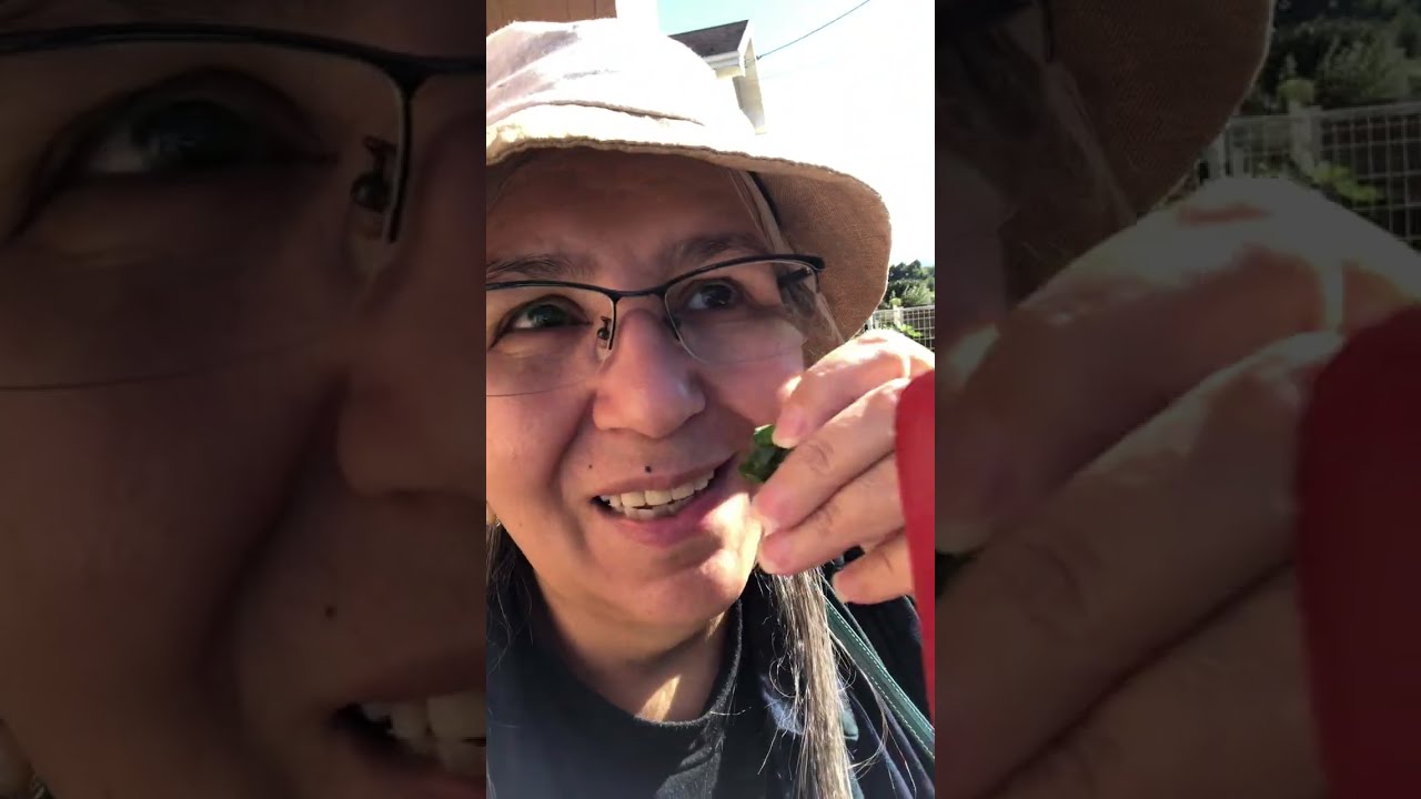 Rotina na horta e momento relaxante de contemplar o belo 😍 