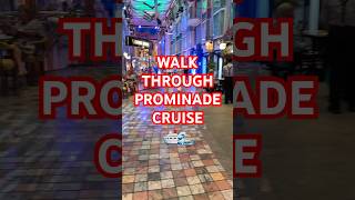 Cruise Promenade Tour 🌊✨|| #cruise #usa #travelvlog #florida #dipankarsanyalvlog