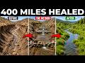 Everyone Said Rocks Can T Heal Rivers Then This Old US Forester Rebuilt 400 Miles With 900
