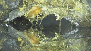 78_あっと驚く、高画素管口カメラ・ファーストビュー　φ300