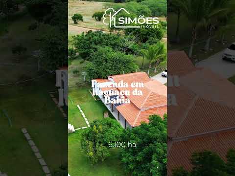 6.100 hectares em Itaguaçu da Bahia