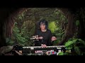 Tickle the Truth  Widespread Panic Cover