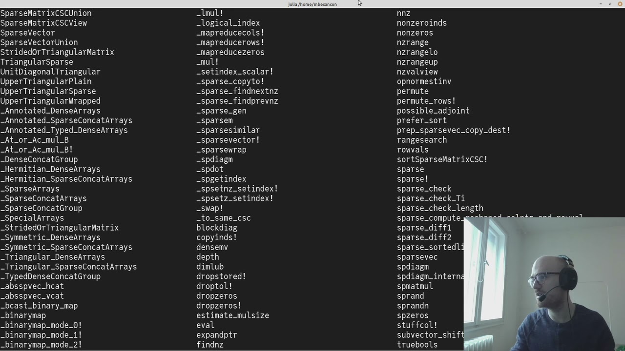Contributing to Julia: sparse array interface
