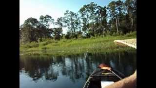 preview picture of video 'Flyfishing for Bream in the Ocala Forest  Pt. 1'