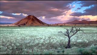 vingt ans .Johnny Hallyday