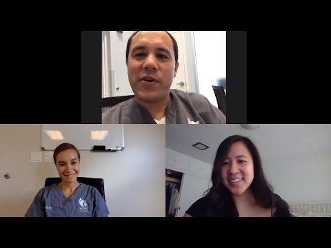 IVDD Recovery, Diets for Epileptic Dogs, Encephalitis, & More || Q&A - August 26, 2020