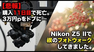 【悲報】購入11日目で3Dプリンター死亡。3万円をドブに捨てたので、Nikon Z5 IIで禊のフォトウォークしてきました。