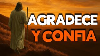 El poder de agradecer a Dios todo - Reflexión Cristiana