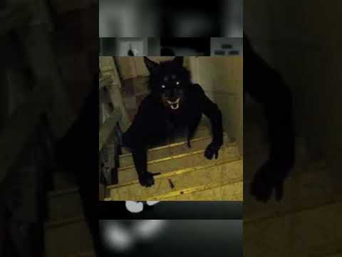 'Horror Couture', el único libro que muestra el lado oscuro de la moda: léelo antes de que sea demasiado tarde