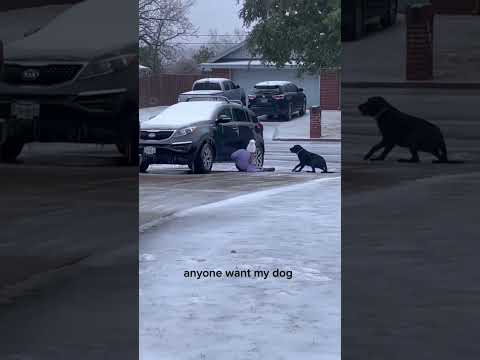 Be careful not to slip and fall in winter #funny #funnyshorts