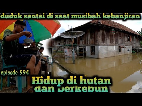 , title : 'musibah banjir kembali datang duduk santai makan di pinggir jalan warta petani muda hidup di hutan'