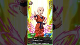 Wドッカンフェス！GOD悟空側1セット&ポイントガシャ