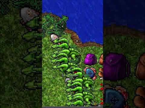 Tibia - Cachero UNBELIVABLE UE (7.6 2006 CALMERA)