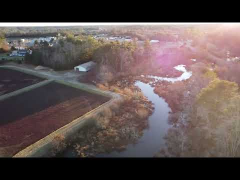 Carver Massachusetts 1/1/2023: Flying high above Cranberry Country on the South Shore!
