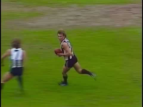 Daicos Magic 1981⭐️