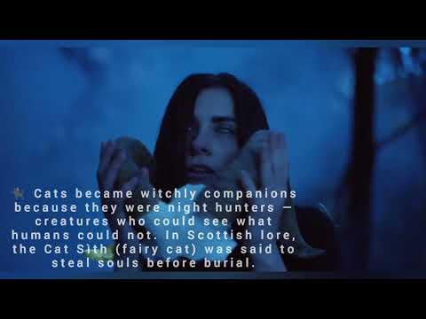 Crease City Entertainment Official  and Mad Dawg Moody