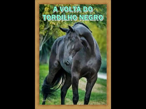 A Volta do Tordilho Negro video