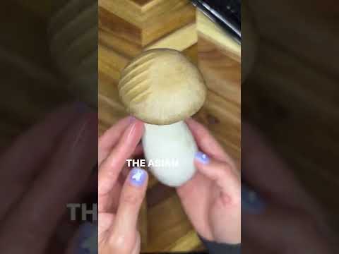 Three mushrooms to feed your dogs￼