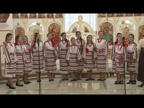 5 Vyshgorodska Pokrova 2016 Namysto