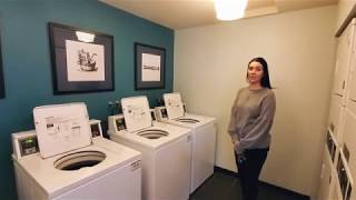 Bothell Ridge Apartments Cozy 1 bedroom