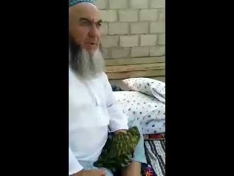 Шухихои бобои Мулло