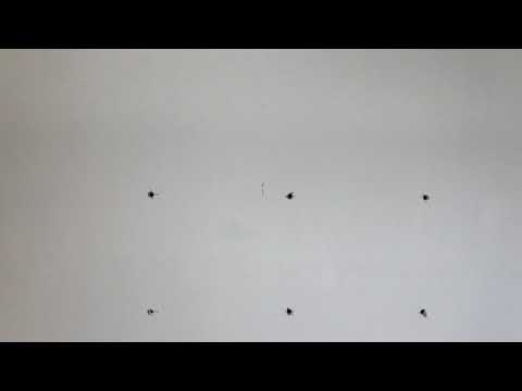 LCD Plasma Installations video.